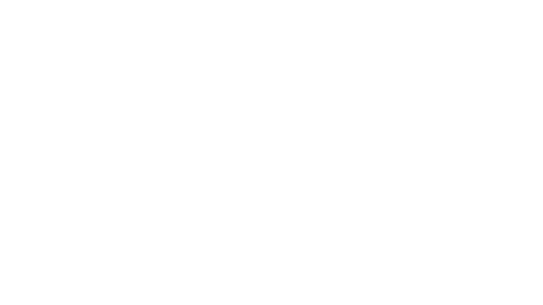 The Callisto Protocol™
