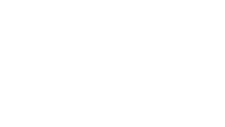 ICARUS