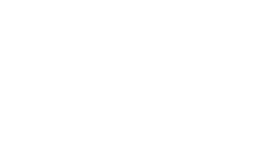 The Inquisitor