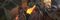 Crestfallen Medieval Survival Background