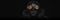 Frostpunk 2 Background