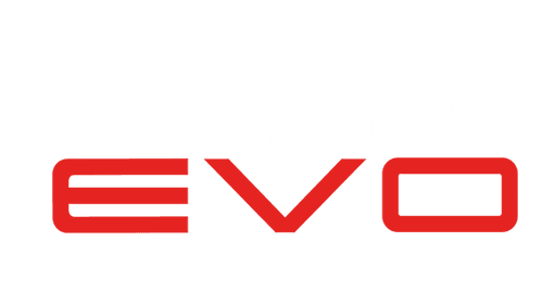 Assetto Corsa EVO