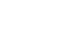 Assassin's Creed Black Flag Resynced