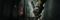 Onimusha: Way of the Sword Background